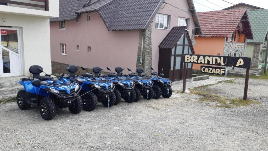 Pensiunea Brandusa Rânca Exteriér fotografie